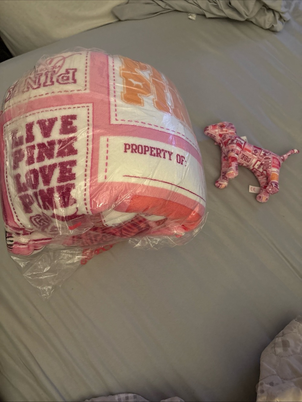 Victoria Secret Pink Plush Cozy Fleece Sherpa Blanket And Mini Dog 2 Pc Set 2026